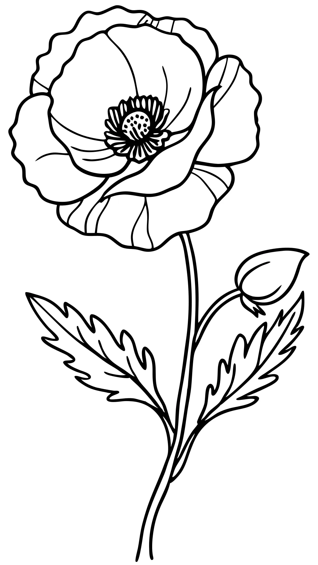 poppy and branch coloring page